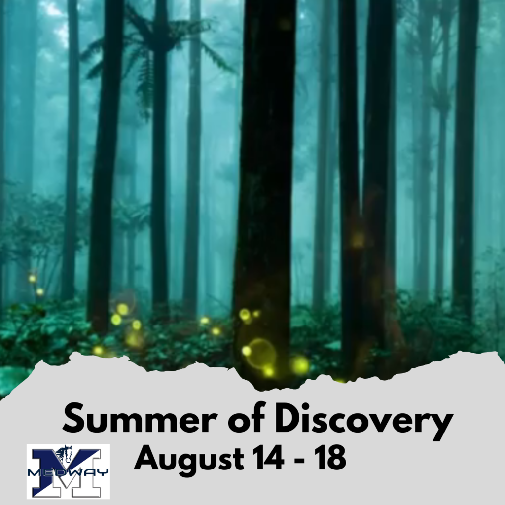 Summer of Discovery