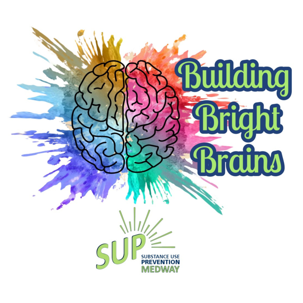 Building Bright Brains